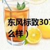 东风标致307两厢说明（东风标致307两厢怎么样）