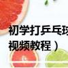 初学打乒乓球视频教程完整版（初学打乒乓球视频教程）