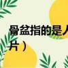 骨盆指的是人体哪个地方（骨盆是什么部位图片）