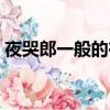 夜哭郎一般的在几点哭（夜哭郎是怎么回事）