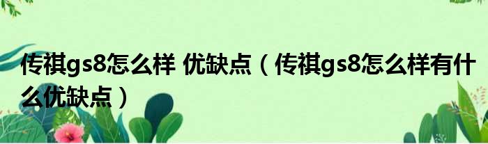传祺gs8怎么样 优缺点（传祺gs8怎么样有什么优缺点）