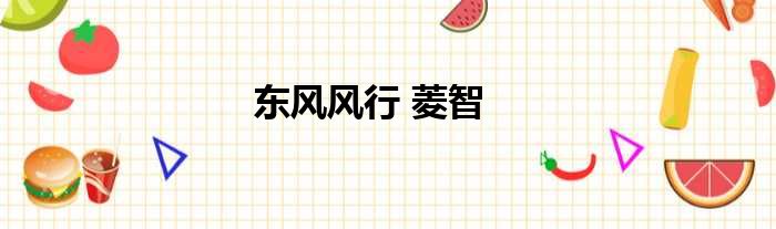 东风风行 菱智