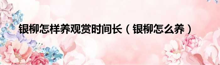银柳怎样养观赏时间长（银柳怎么养）