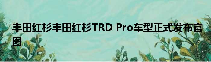 丰田红杉丰田红杉TRD Pro车型正式发布官图