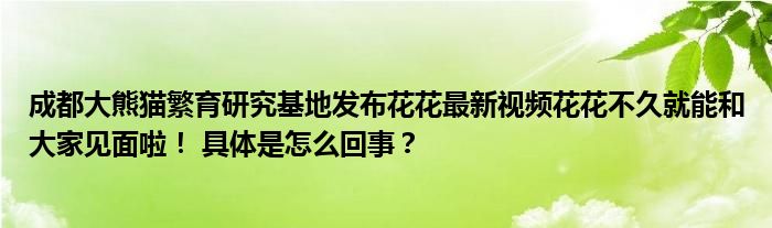 成都大熊猫繁育研究基地发布花花最新视频花花不久就能和大家见面啦！ 具体是怎么回事？