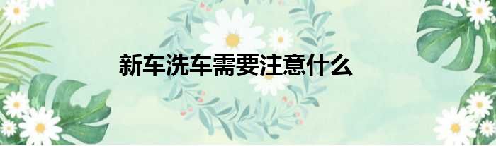 新车洗车需要注意什么