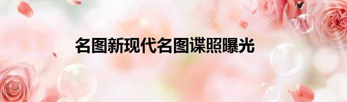 名图新现代名图谍照曝光