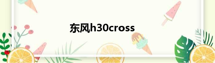 东风h30cross