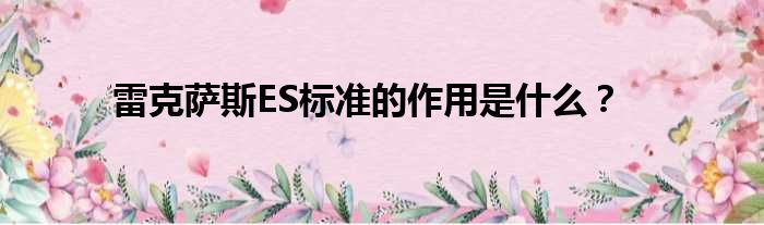 雷克萨斯ES标准的作用是什么？