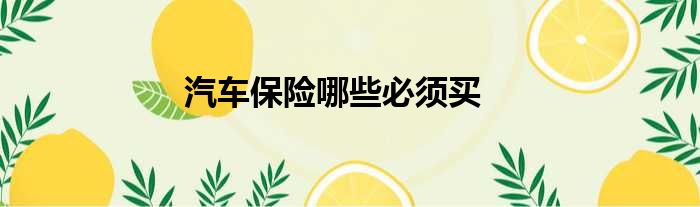 汽车保险哪些必须买