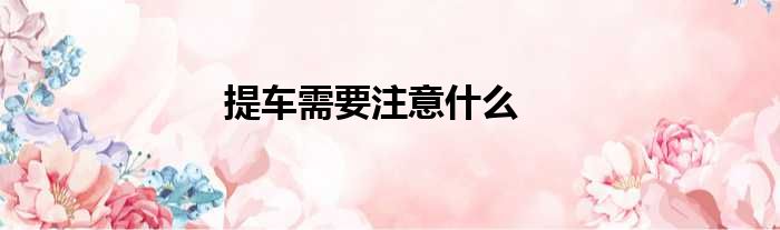 提车需要注意什么
