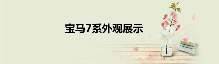 宝马7系外观展示