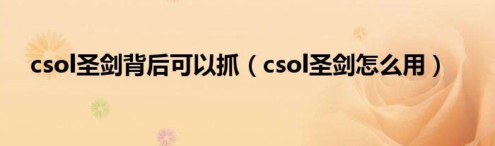 csol圣剑背后可以抓（csol圣剑怎么用）