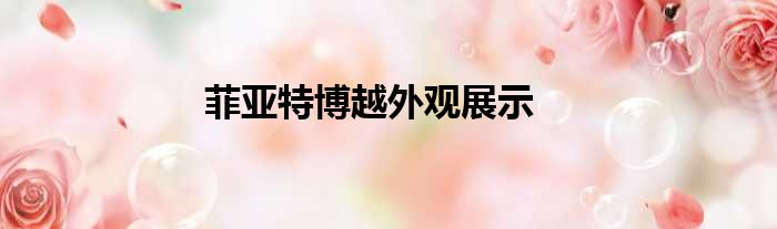 菲亚特博越外观展示