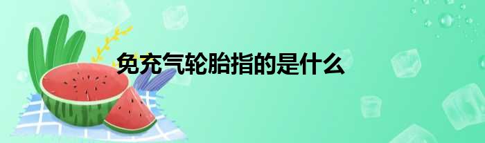 免充气轮胎指的是什么