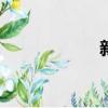 新轩逸2012款报价