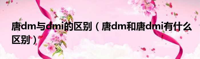 唐dm与dmi的区别（唐dm和唐dmi有什么区别）