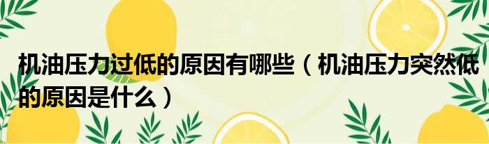 机油压力过低的原因有哪些（机油压力突然低的原因是什么）