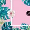 福特嘉年华三厢报价