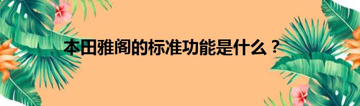 本田雅阁的标准功能是什么？