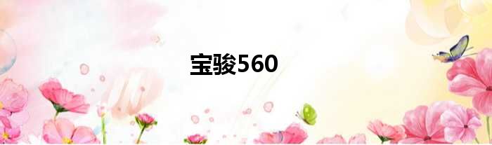 宝骏560