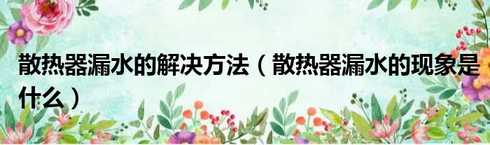 散热器漏水的解决方法（散热器漏水的现象是什么）
