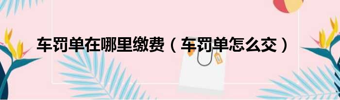 车罚单在哪里缴费（车罚单怎么交）