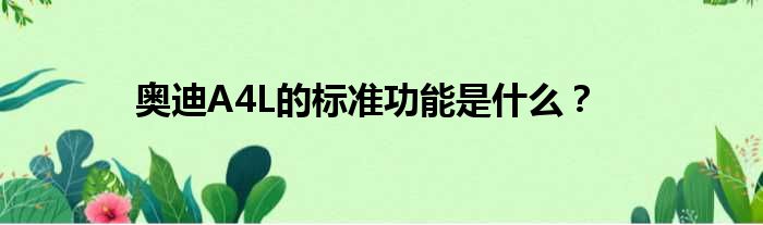 奥迪A4L的标准功能是什么？