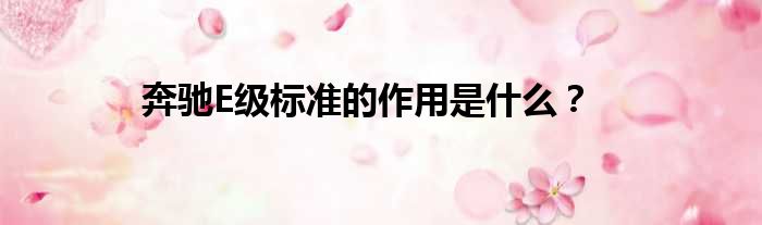 奔驰E级标准的作用是什么？