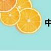 中国汽车网新车报价