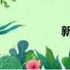 新捷达发动机怎么样