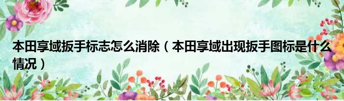本田享域扳手标志怎么消除（本田享域出现扳手图标是什么情况）