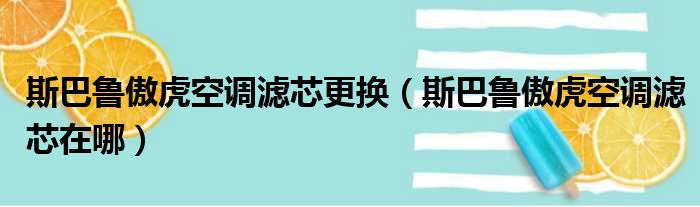 斯巴鲁傲虎空调滤芯更换（斯巴鲁傲虎空调滤芯在哪）