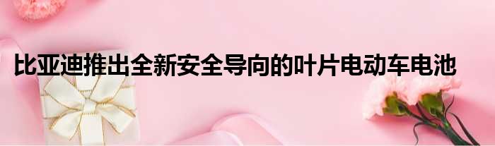 比亚迪推出全新安全导向的叶片电动车电池