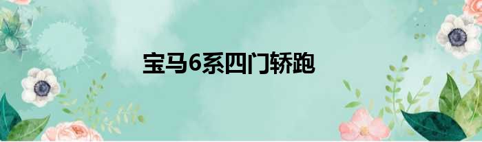 宝马6系四门轿跑