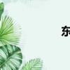 东风雪铁龙所有车型