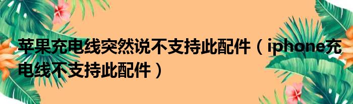 苹果充电线突然说不支持此配件（iphone充电线不支持此配件）