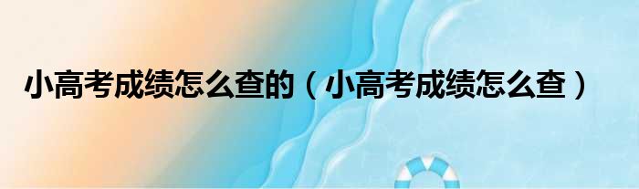 小高考成绩怎么查的（小高考成绩怎么查）