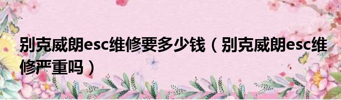 别克威朗esc维修要多少钱（别克威朗esc维修严重吗）