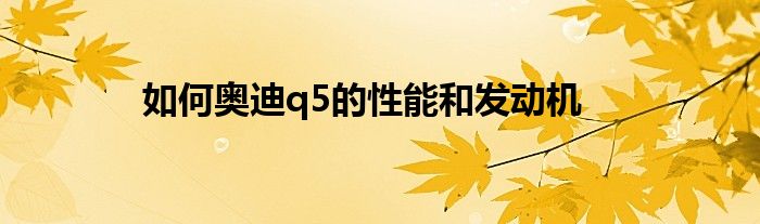 如何奥迪q5的性能和发动机
