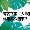 有名字啦！大熊猫“福宝”妹妹们叫“睿宝”、“辉宝” 具体是怎么回事？