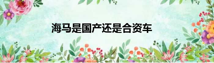 海马是国产还是合资车