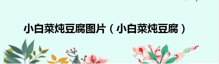 小白菜炖豆腐图片（小白菜炖豆腐）