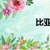 比亚迪唐dm2021款售价