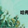 哈弗m6报价2020款新车