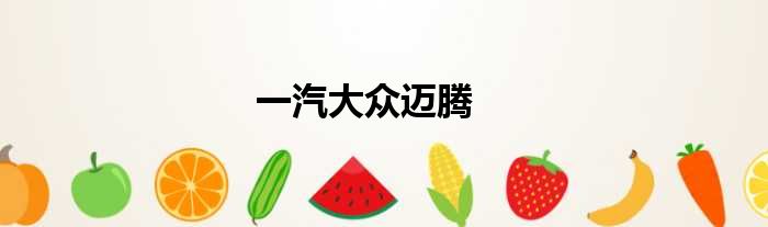 一汽大众迈腾