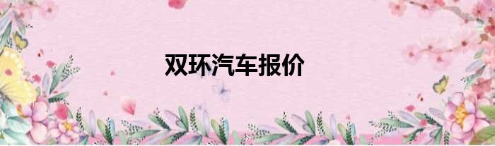 双环汽车报价