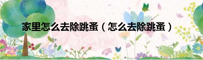 家里怎么去除跳蚤（怎么去除跳蚤）