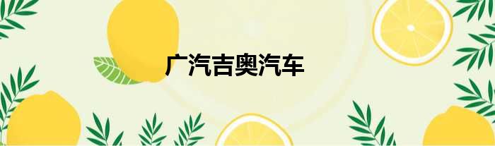 广汽吉奥汽车