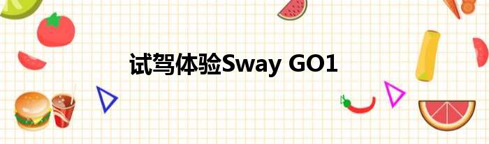 试驾体验Sway GO1